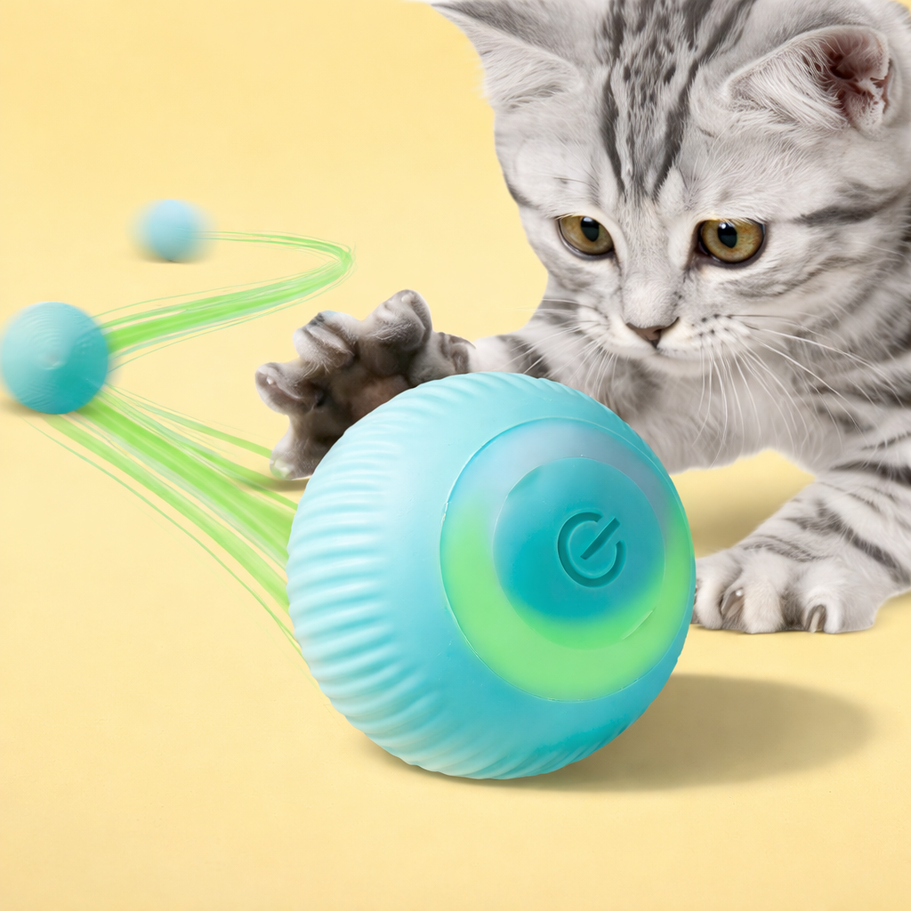 Pet Toys